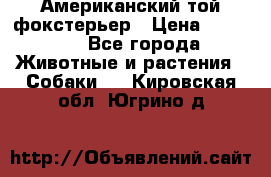 Американский той фокстерьер › Цена ­ 25 000 - Все города Животные и растения » Собаки   . Кировская обл.,Югрино д.